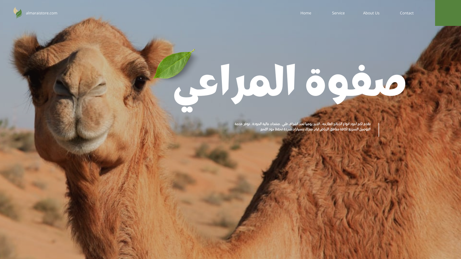 You are currently viewing حاشي بلدي فاخر: نخبة الذبائح البلدي