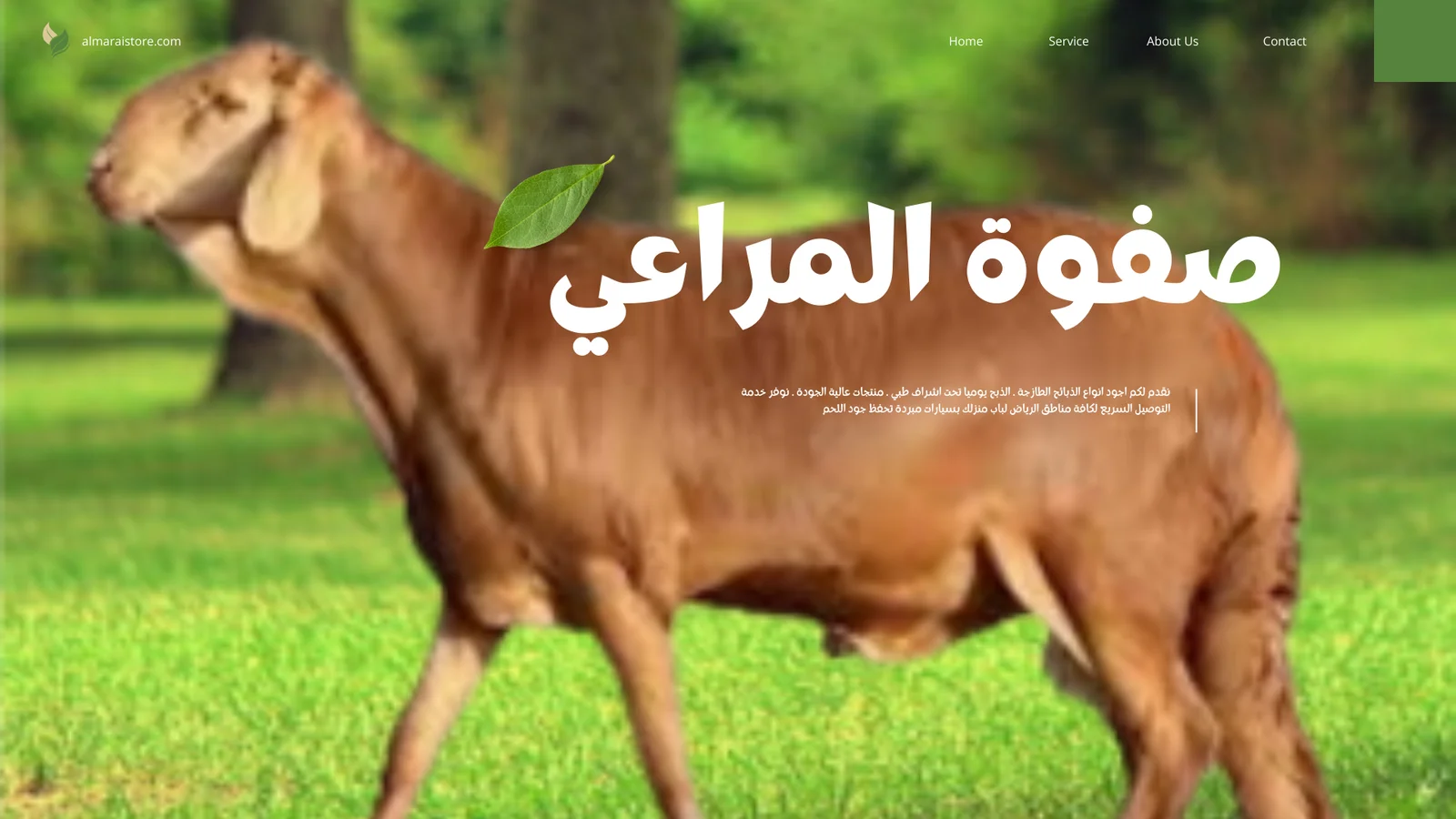 You are currently viewing ذبايح سواكني الرياض – ذبائح الصفوة