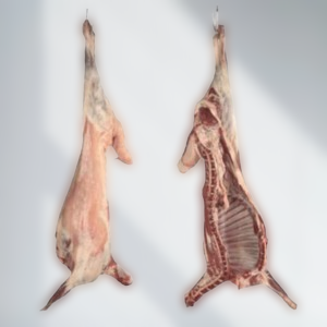 Read more about the article توصيل أجود الذبائح الطازجة للبيت – أفضل الذبائح النعيمي والحري البلدي – الرياض